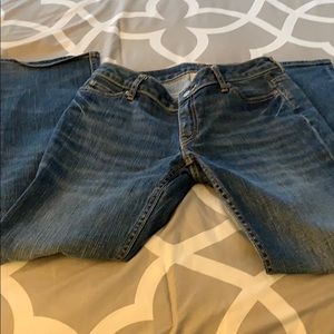 Petite Stretch Jeans